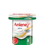 ANLENE LOW FAT YOGURT NATURAL 110G