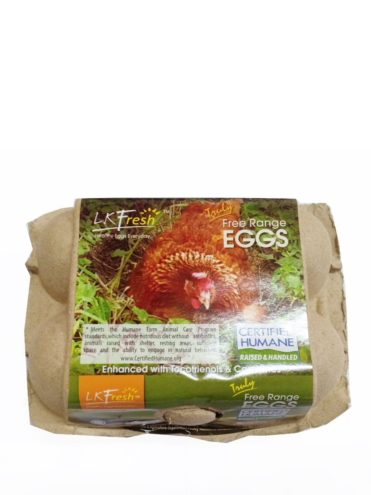 LK FRESH FREE RANGE EGGS 6S