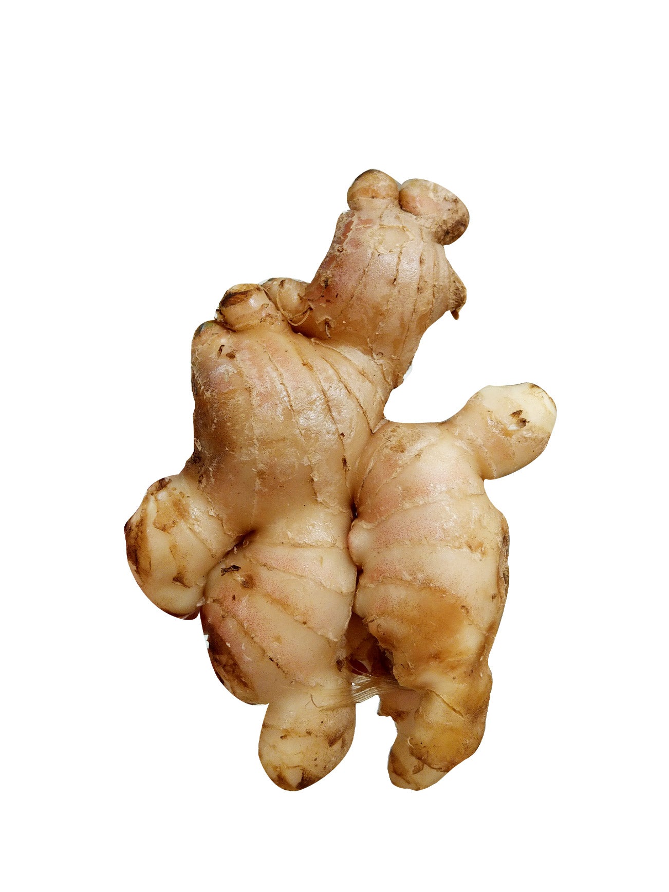 YOUNG GINGER (HALIA MUDA) +/-200G