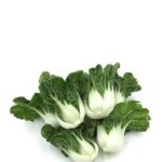 CAMERON NAI BAI 220G NL