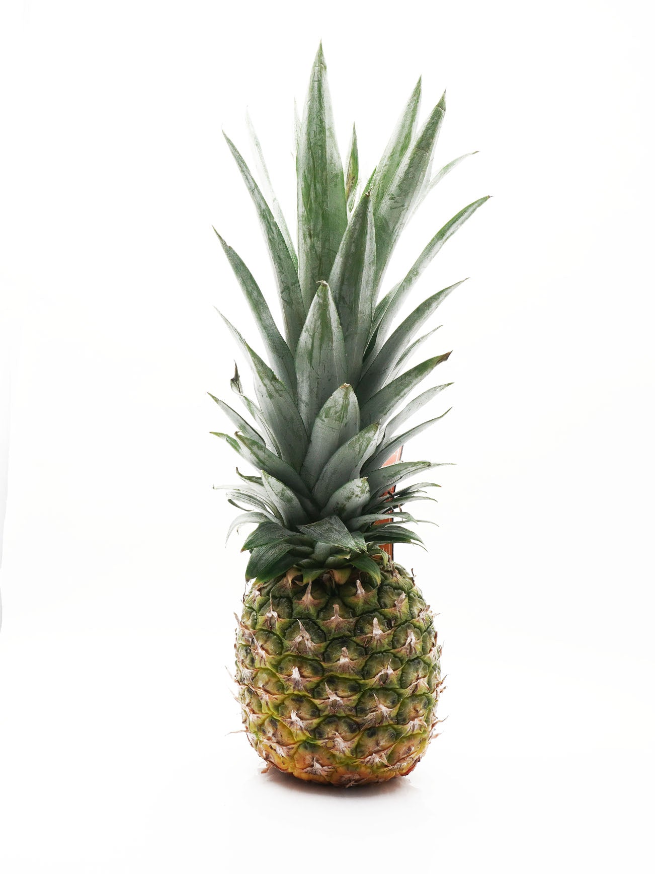 GOLDEN MD2 PINEAPPLE PC (+/- 1KG)